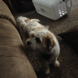 Meet your Posher, Aidan